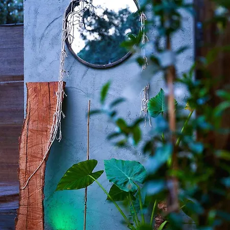 Rural El Arbol Near Setenil - Con Piscina