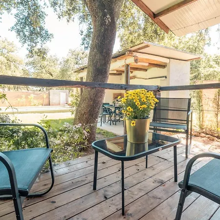 Rural El Arbol Near Setenil - Con Piscina *