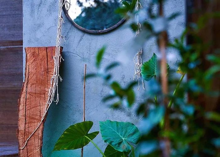 Rural El Arbol Near Setenil - Con Piscina