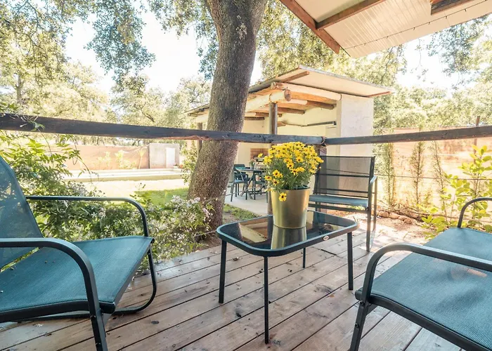 Rural El Arbol Near Setenil - Con Piscina *